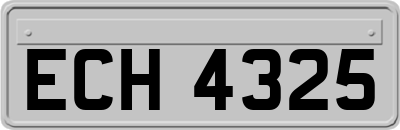 ECH4325