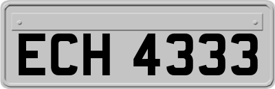 ECH4333