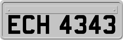 ECH4343
