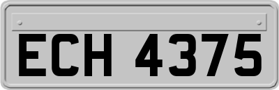 ECH4375