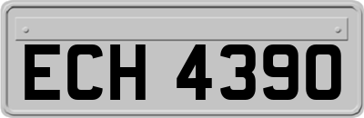 ECH4390