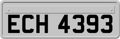 ECH4393
