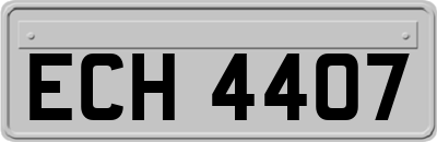 ECH4407