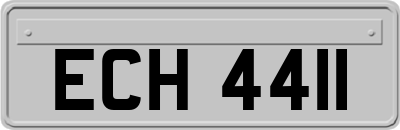 ECH4411