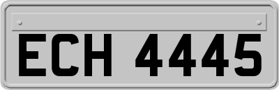ECH4445