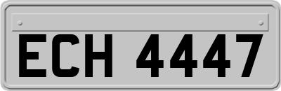 ECH4447