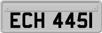 ECH4451