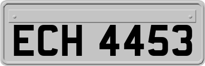ECH4453