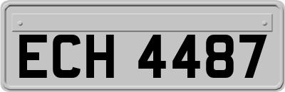 ECH4487