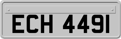 ECH4491