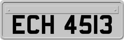ECH4513