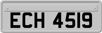 ECH4519
