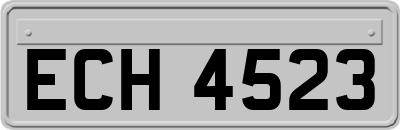 ECH4523