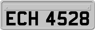 ECH4528