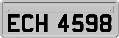 ECH4598