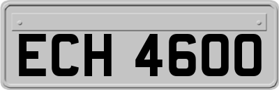 ECH4600