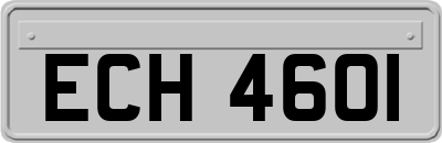 ECH4601