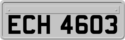 ECH4603