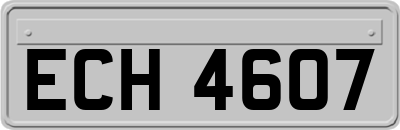ECH4607
