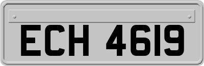 ECH4619