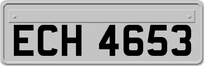 ECH4653