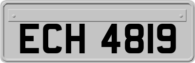 ECH4819