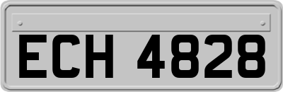 ECH4828