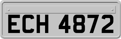 ECH4872