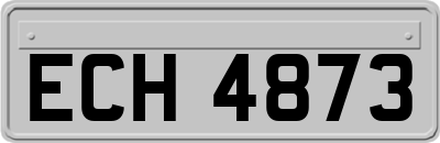 ECH4873