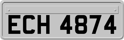 ECH4874