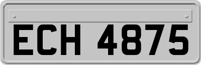 ECH4875