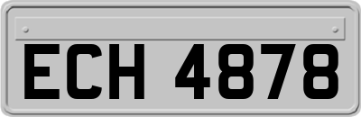 ECH4878