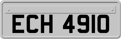ECH4910