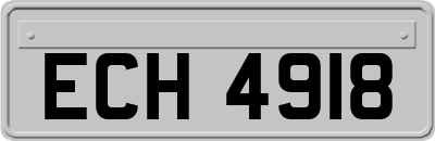 ECH4918
