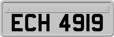 ECH4919