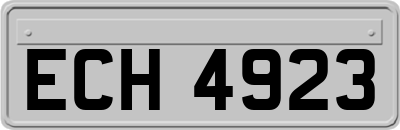 ECH4923