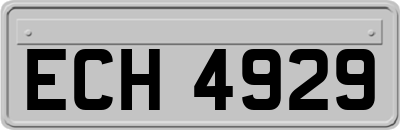 ECH4929