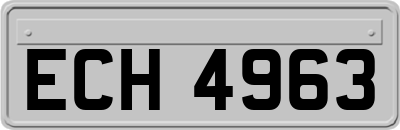 ECH4963