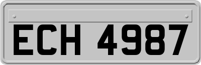 ECH4987