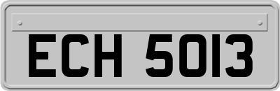 ECH5013