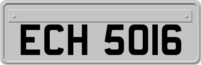 ECH5016