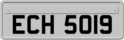 ECH5019
