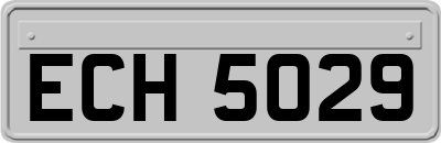 ECH5029