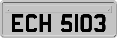 ECH5103