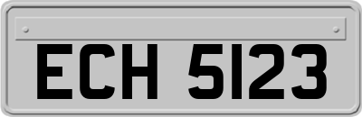 ECH5123