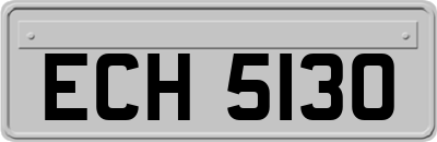 ECH5130