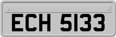 ECH5133