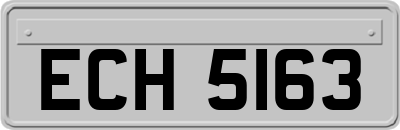 ECH5163