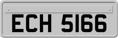 ECH5166