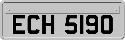 ECH5190